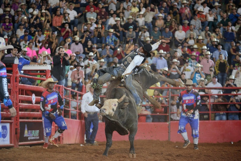 Rodeio, a estrela da Festa do Peão de Barretos - Cavalus