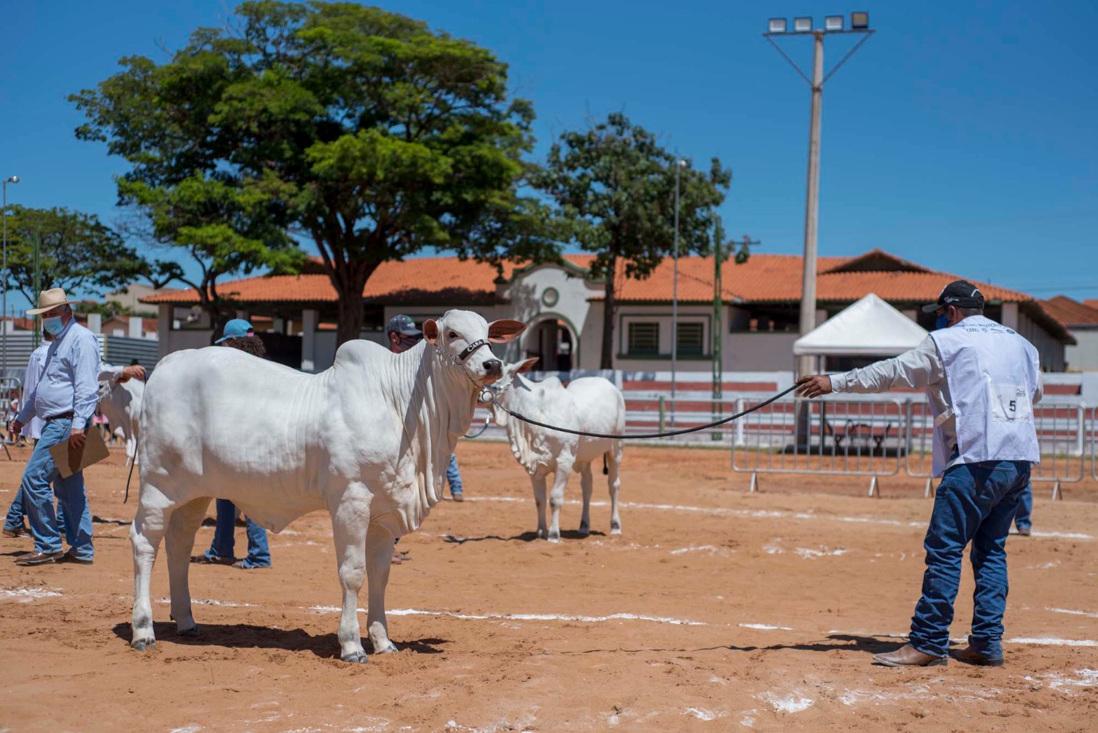 Colina Agropecuária